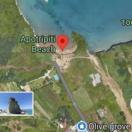 Olivegrove * Sidárion