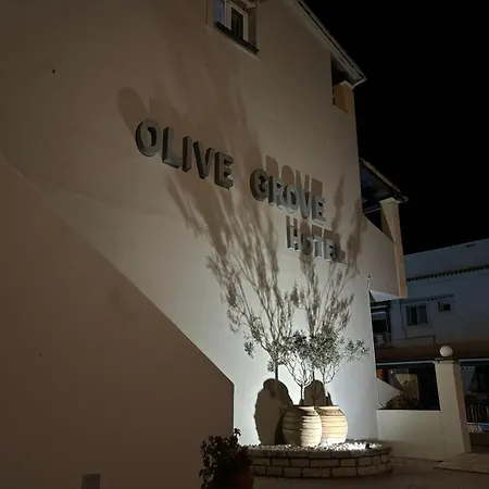 Olivegrove Apartament *