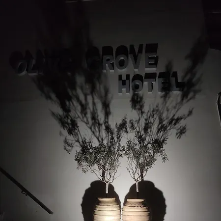 Olivegrove Apartament Sidárion