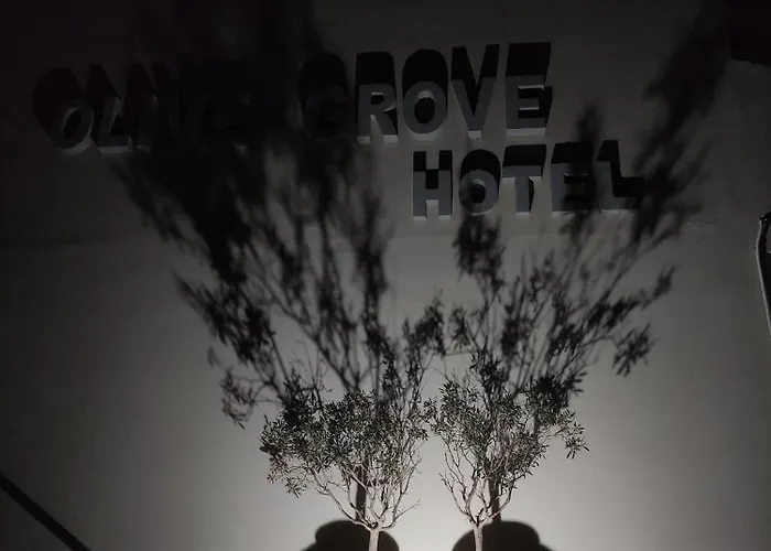 Olivegrove Διαμέρισμα Σιδάρι